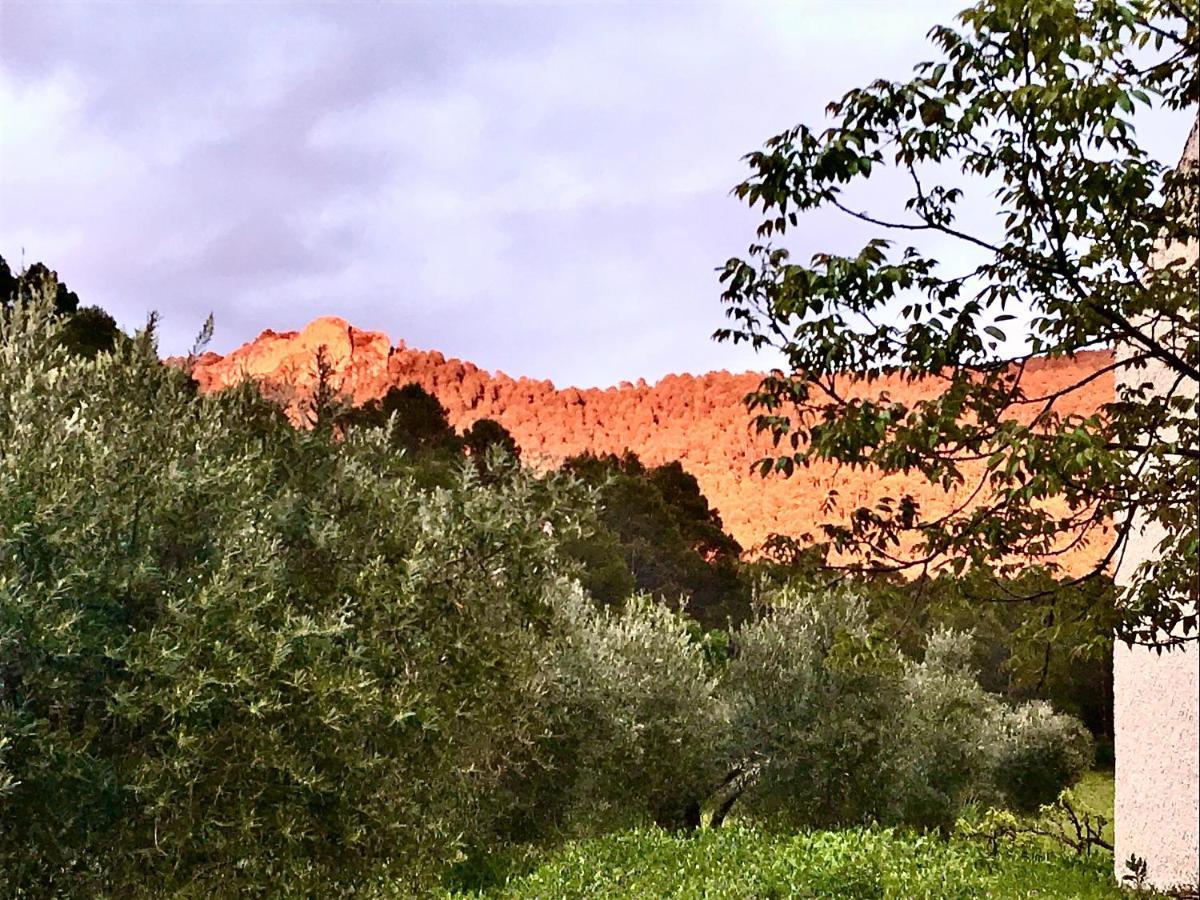 Casa Rural Cortijo La Ajedrea Siles Buitenkant foto